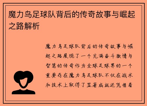 魔力鸟足球队背后的传奇故事与崛起之路解析